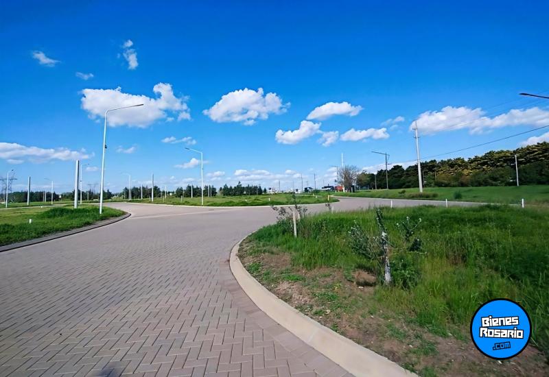 Terrenos - Pueblo Esther - Venta