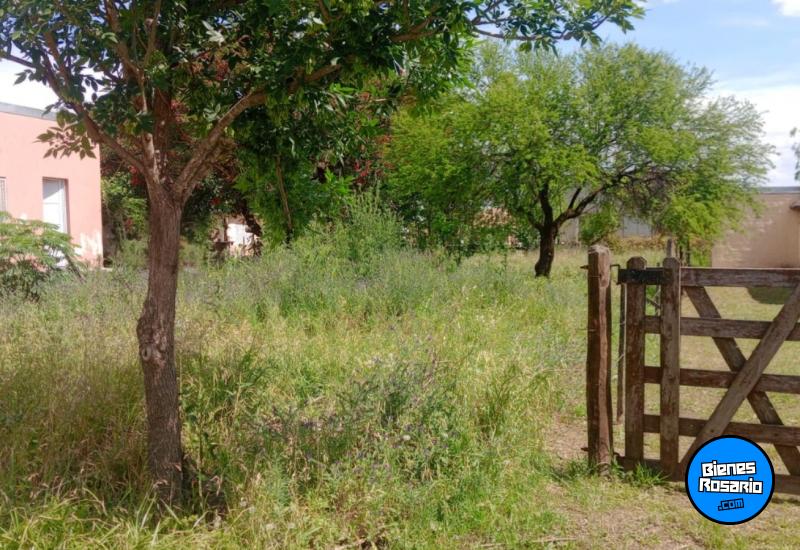 Terrenos - Arocena - Venta