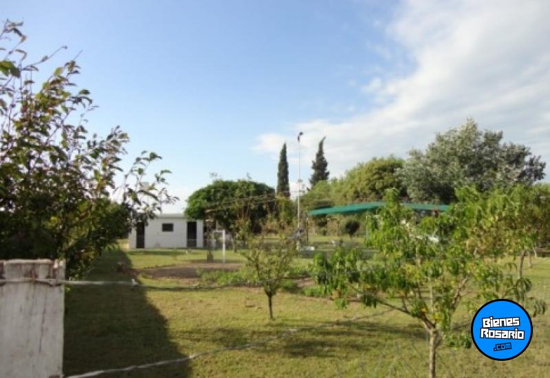 Campos - Rosario - Venta