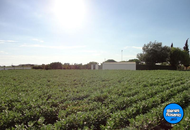 Campos - Rosario - Venta