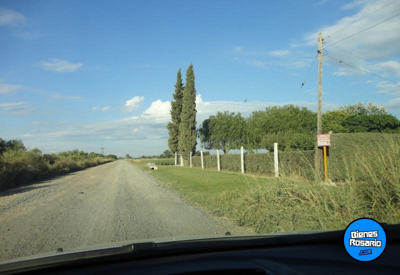 Campos - Rosario - Venta