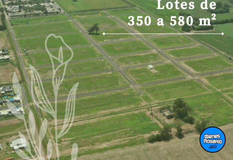 Terrenos - Arroyo Seco - Venta