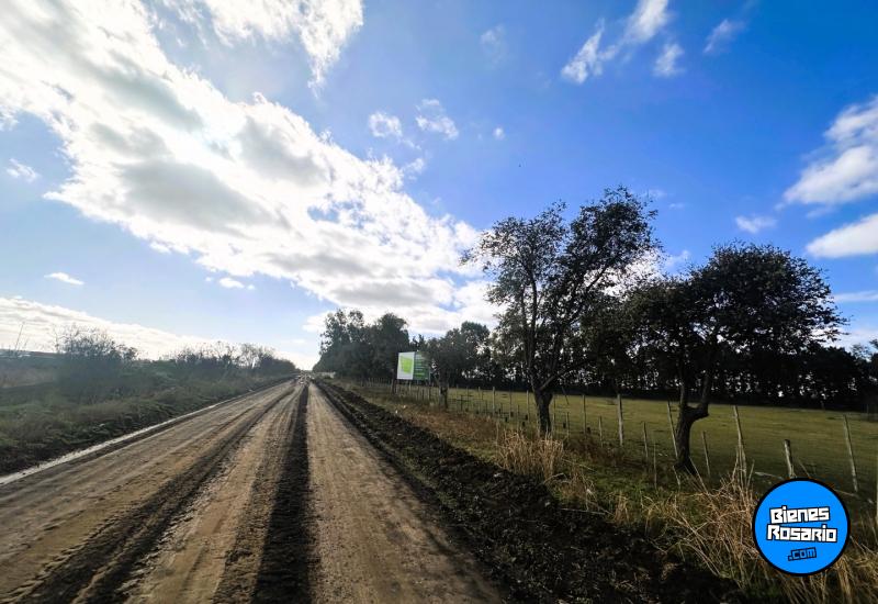 Terrenos - San Lorenzo - Venta