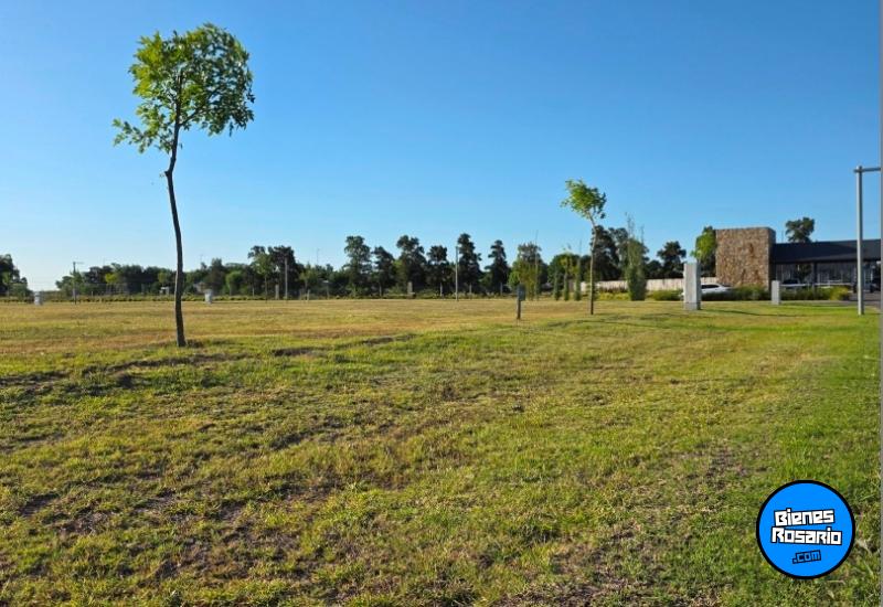 Terrenos - Funes - Venta