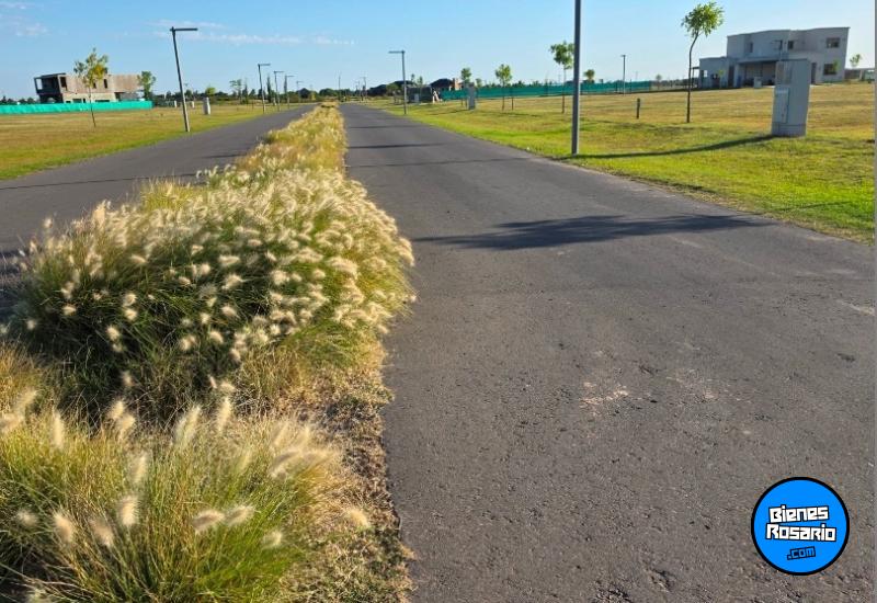 Terrenos - Funes - Venta