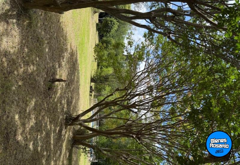 Casas - Oliveros - Venta