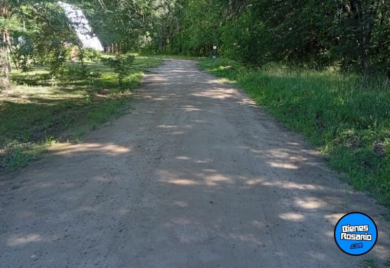 Casas - Santa Rosa De Calamuchita - Venta