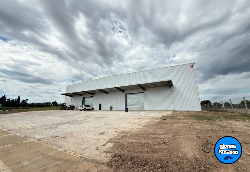 Galpones / Depósitos - Rosario -  Alquiler