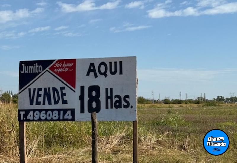 Campos - Roldan - Venta