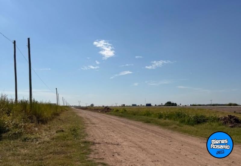 Campos - Roldan - Venta