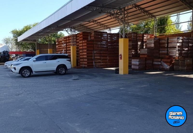 Galpones / Depósitos - Rosario -  Alquiler