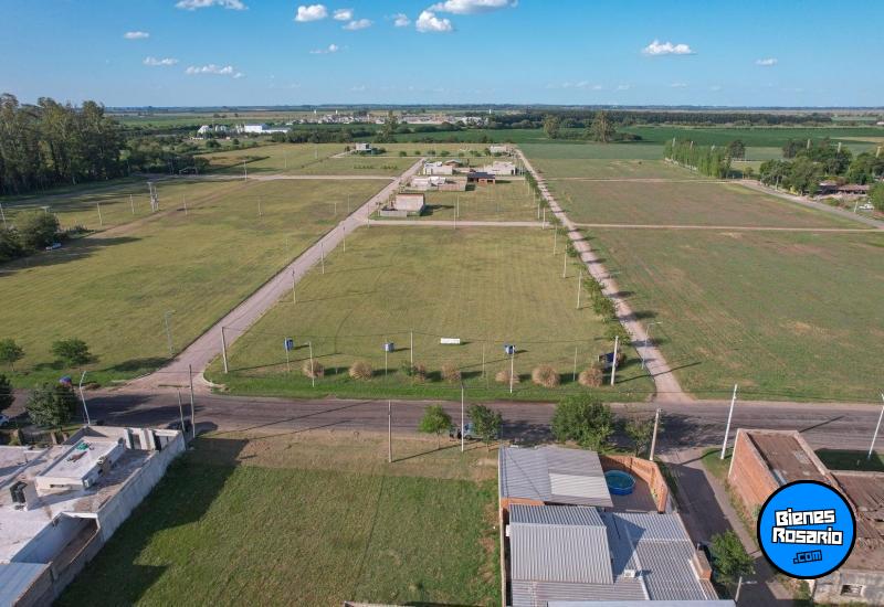 Terrenos - Piñero - Venta