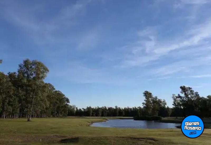 Terrenos - Oliveros - Venta