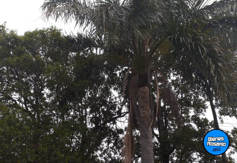 Terrenos - Santa Teresa - Venta