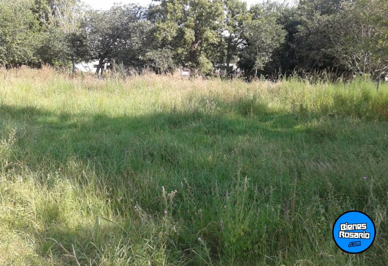 Terrenos - Los Molinos - Venta