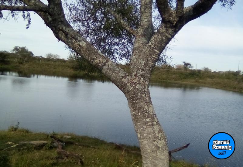 Campos - San Jose De Feliciano - Venta