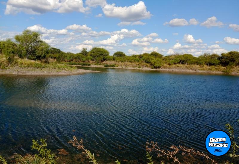 Campos - San Jose De Feliciano - Venta