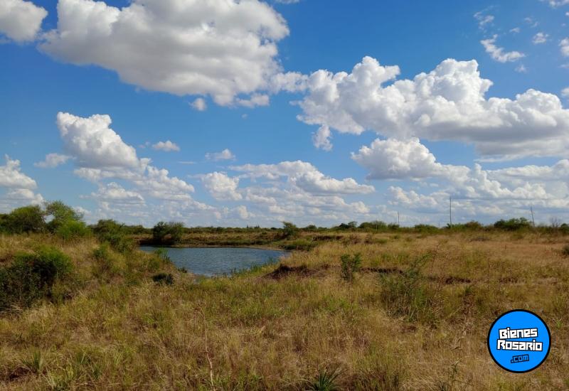 Campos - San Jose De Feliciano - Venta