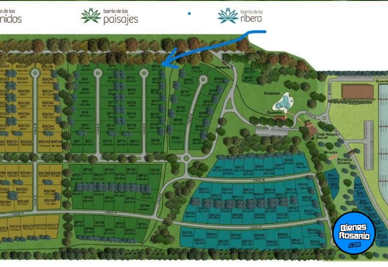 Terrenos - Fighiera - Venta