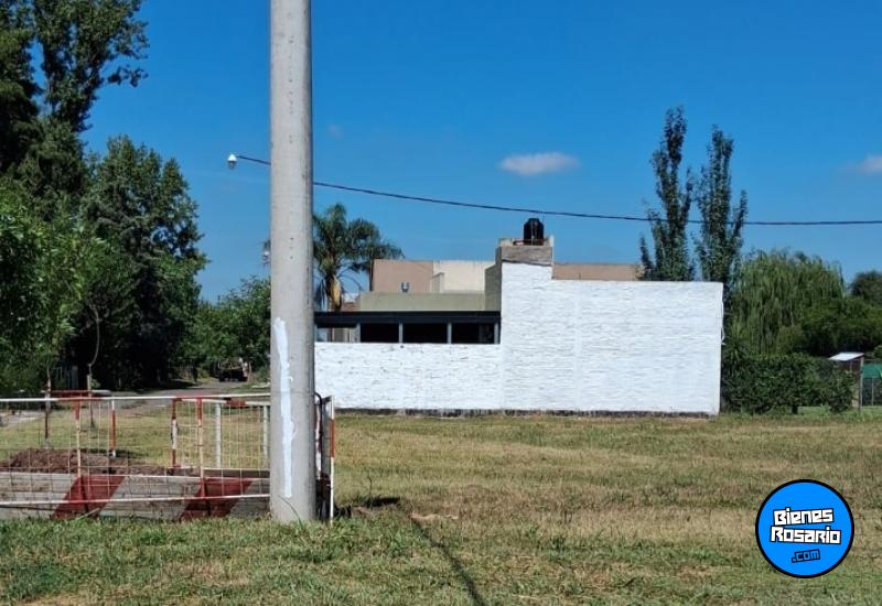 Terrenos - Ricardone - Venta