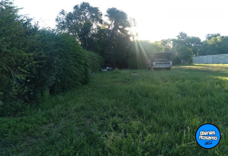 Terrenos - Oliveros - Venta