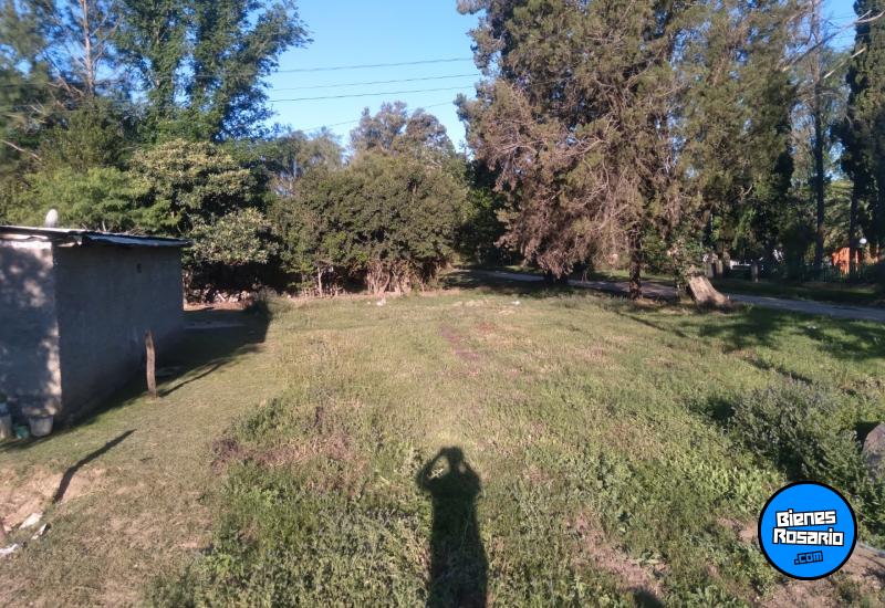 Terrenos - Oliveros - Venta