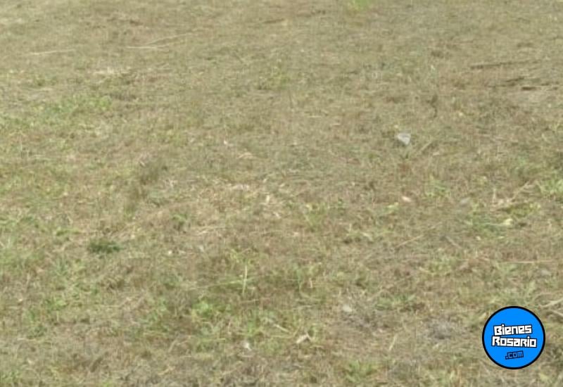 Terrenos - Roldan - Venta