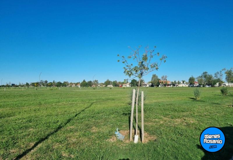 Terrenos - General Lagos - Venta