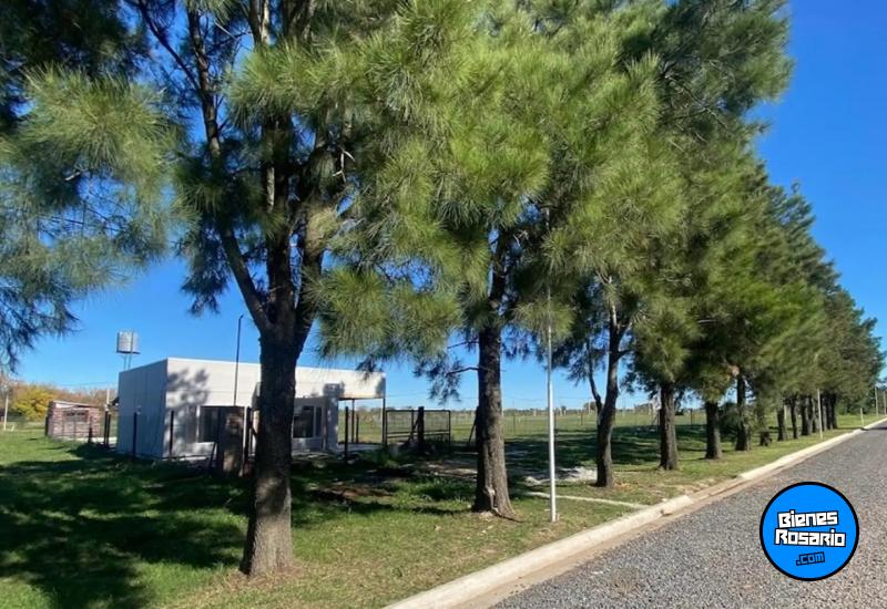 Terrenos - Lopez, Lucio V. - Venta