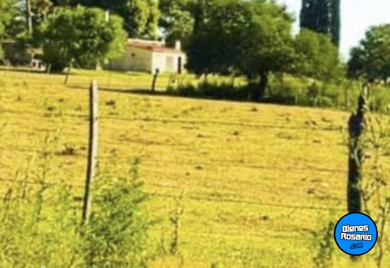 Terrenos - Victoria - Venta