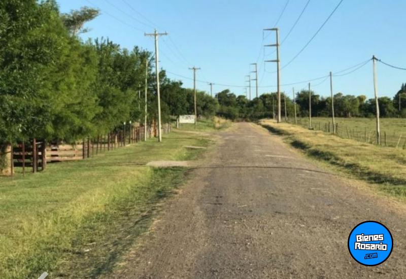 Terrenos - Victoria - Venta