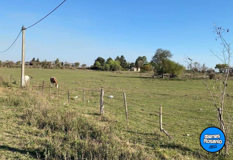 Terrenos - Victoria - Venta