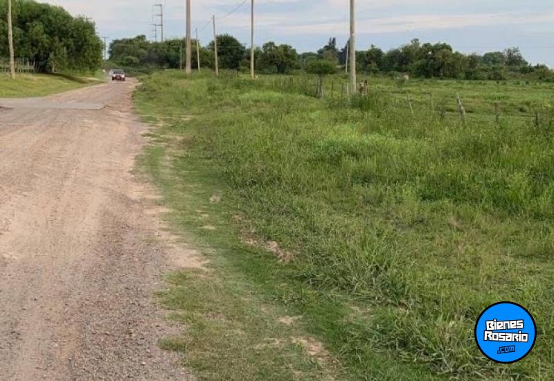 Terrenos - Victoria - Venta