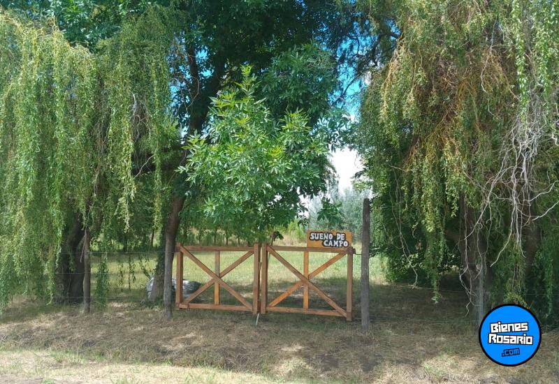 Terrenos - Pi�ero - Venta