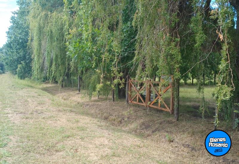 Terrenos - Pi�ero - Venta