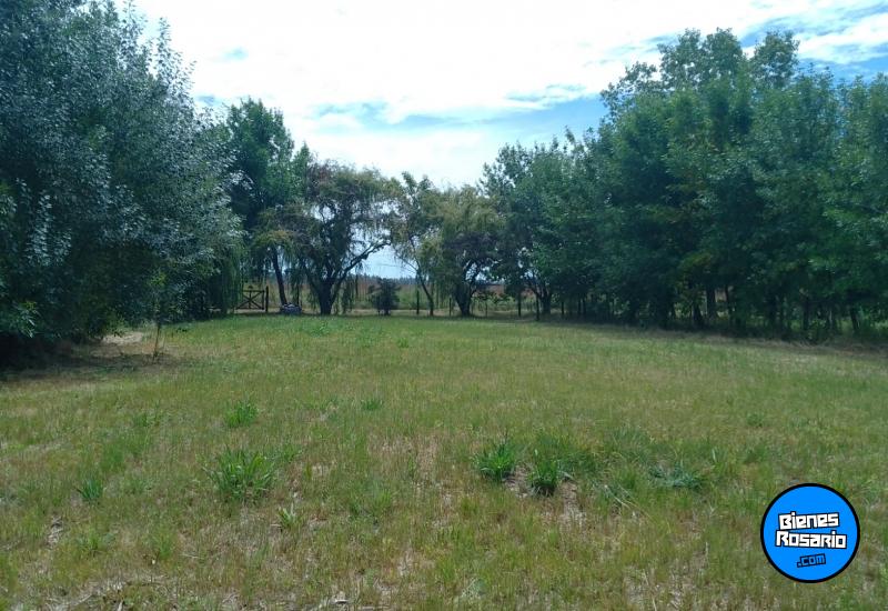 Terrenos - Pi�ero - Venta