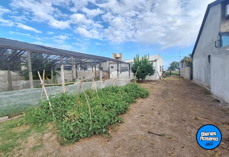 Casas - Melincue - Venta