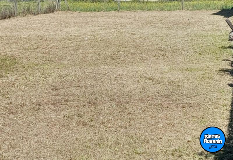 Terrenos - Roldan - Venta