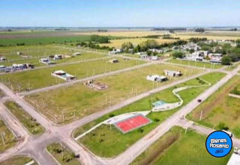 Terrenos - Ricardone - Venta