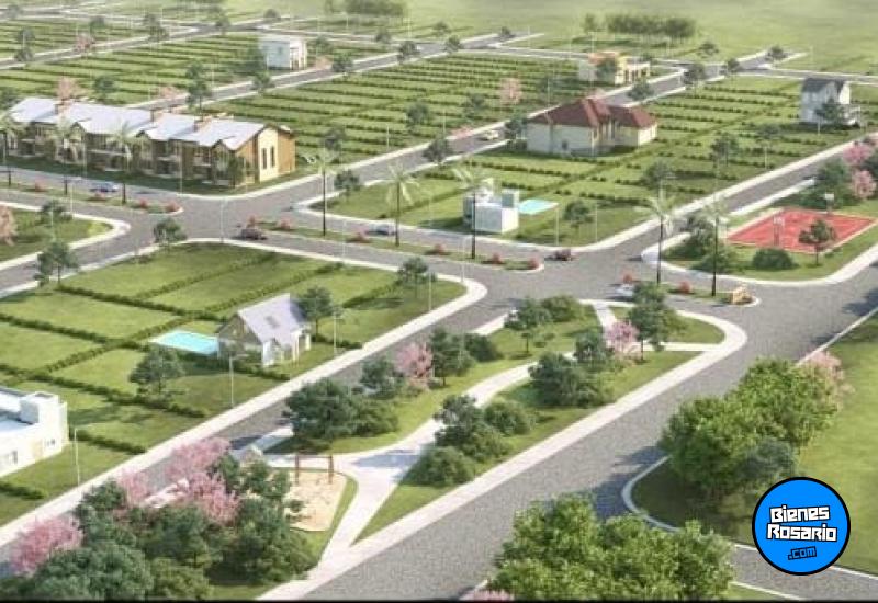 Terrenos - Ricardone - Venta