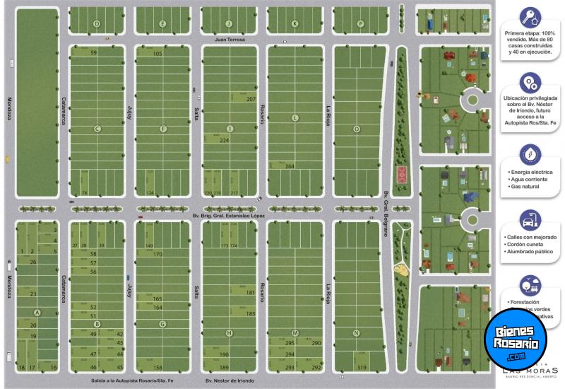 Terrenos - Ricardone - Venta