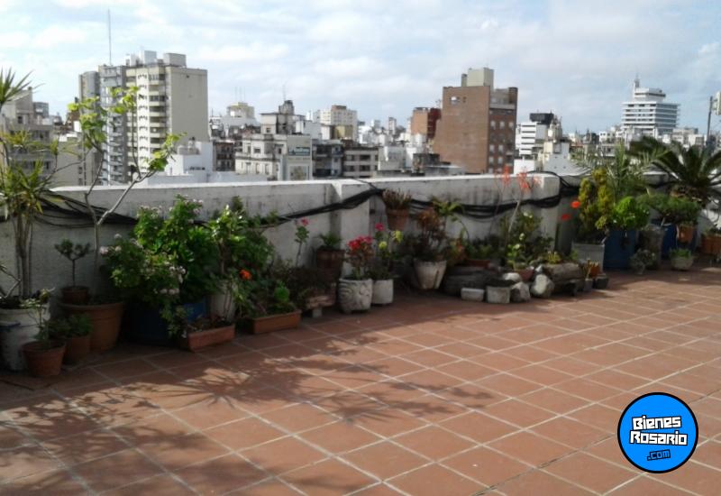 Departamentos - Rosario - Alquiler