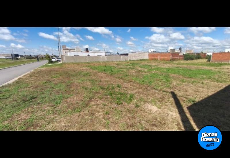 Terrenos - Alvear - Venta