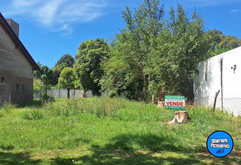 Terrenos - Melincue - Venta