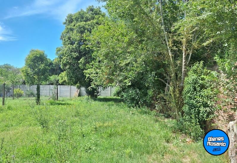 Terrenos - Melincue - Venta