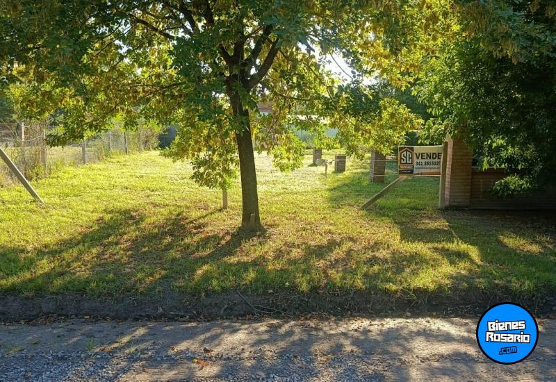 Terrenos - Andino - Venta