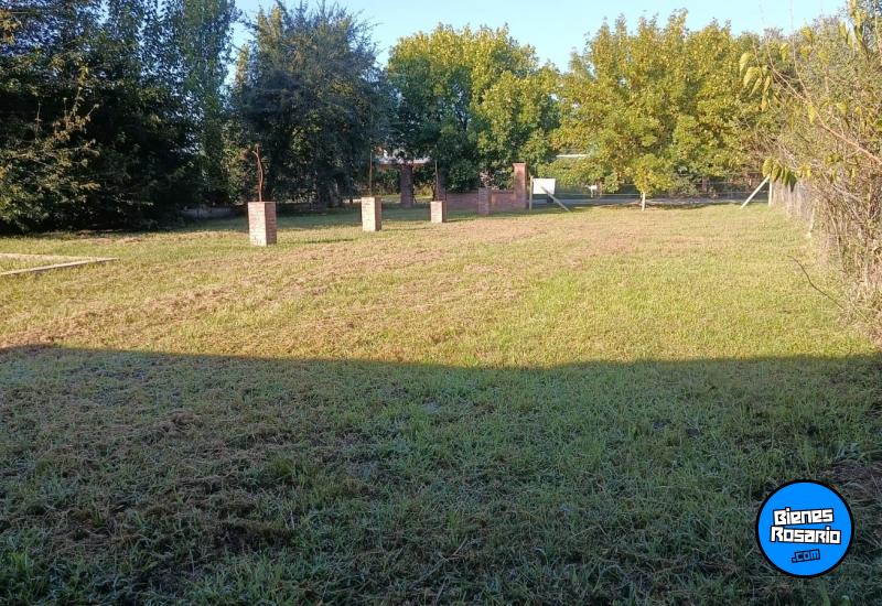 Terrenos - Andino - Venta