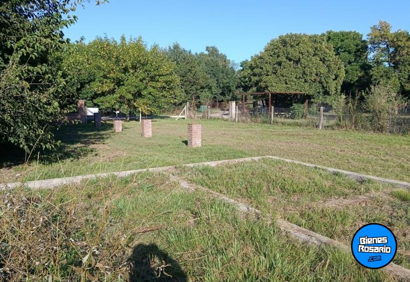 Terrenos - Andino - Venta