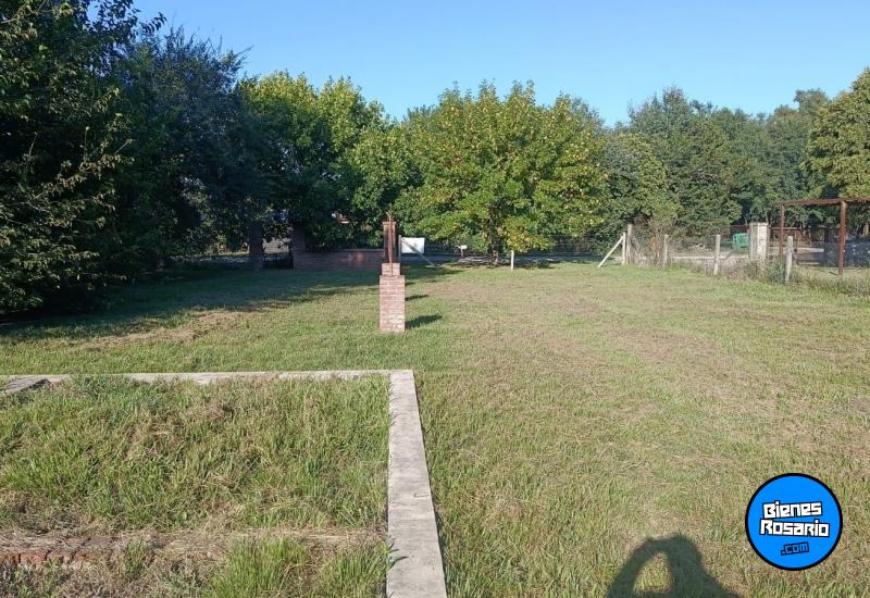 Terrenos - Andino - Venta