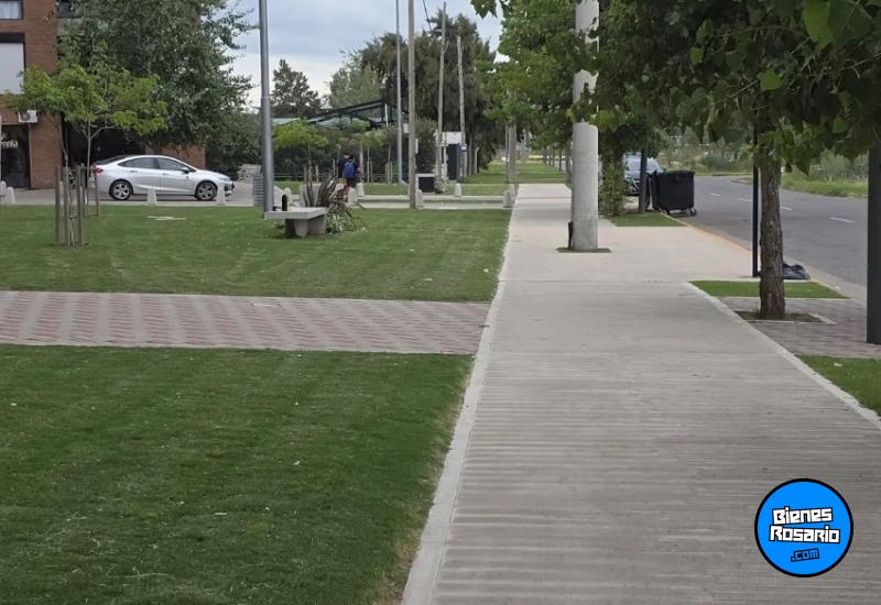 Departamentos - Rosario -  Alquiler